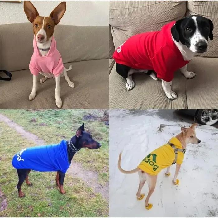 LETVIA chiens sweat à capuche avec lettres automne hiver animal de compagnie manteau chaud