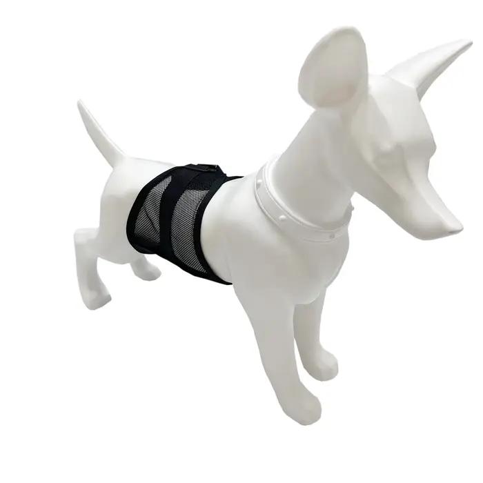 Culotte de sécurité anti-harcelement pour chien mâle en période d'œstrus, en tissu maillé respirant