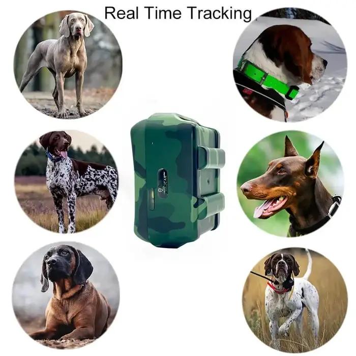 Collier Gps de traqueur d'animaux pour chiens