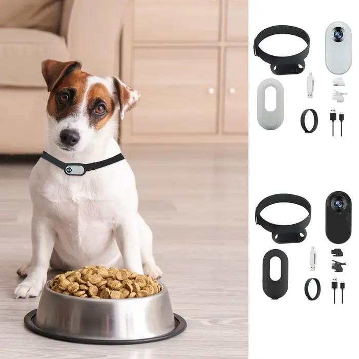 Caméra de suivi de chien HD 1080P pour chats collier photo enregistrement sportif sécurité animal de compagnie occasions spéciales