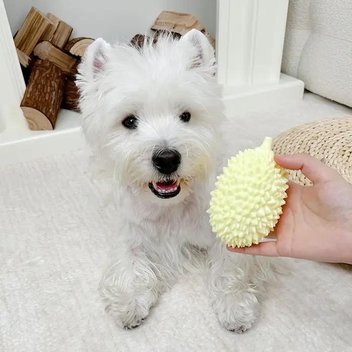 Jouet pour chien en forme de durian, nouveau jouet interactif d'extérieur en TPR pour chiot, jouet à