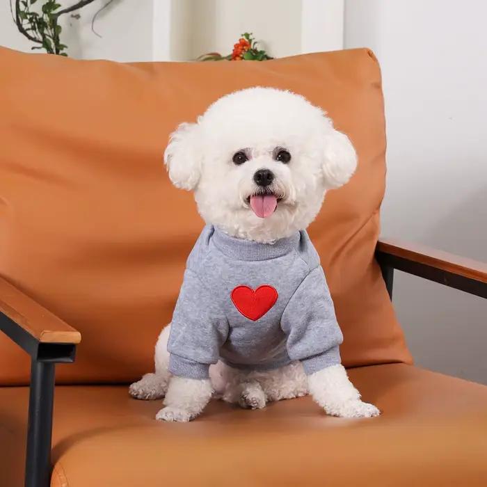Pull en polyester à capuche LANGXINGCS pour chats style cute automne hiver à offrir pour occasions spéciales