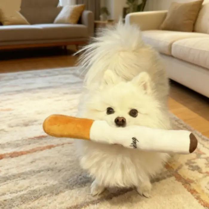 Jouet à mâcher en forme de cigare pour chien, jouet grinçant en polaire résistante pour nettoyage des dents et jeu amusant