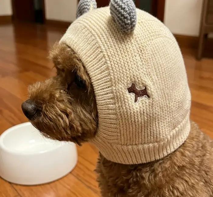 Chapeau d'hiver pour chien, couvre-chef chaud et amusant pour chiens de taille moyenne et grande, Labrador Golden Retriever