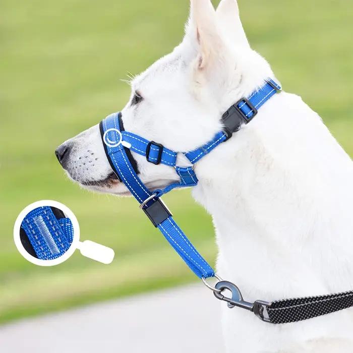 Collier anti-aboiement en nylon respirant avec muselière réfléchissante pour entraîner et sécuriser votre chien lors des promenades et randonnées nocturnes