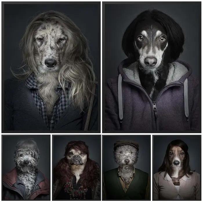 Portraits drôles de chiens habillés comme des humains