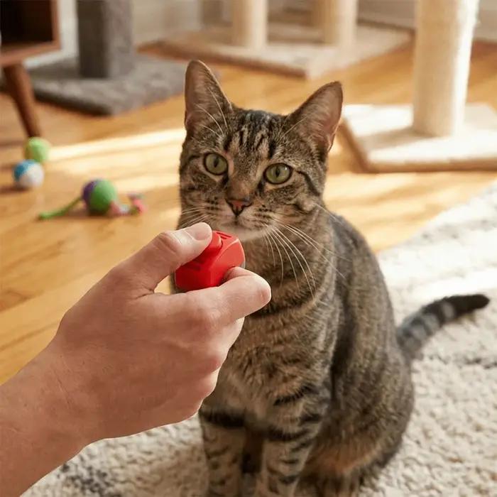 Cliqueur d'entraînement portable pour animaux de compagnie, sonnerie sonore, sans piles, pour dressage canin, professionnel, pour l'entraînement des animaux