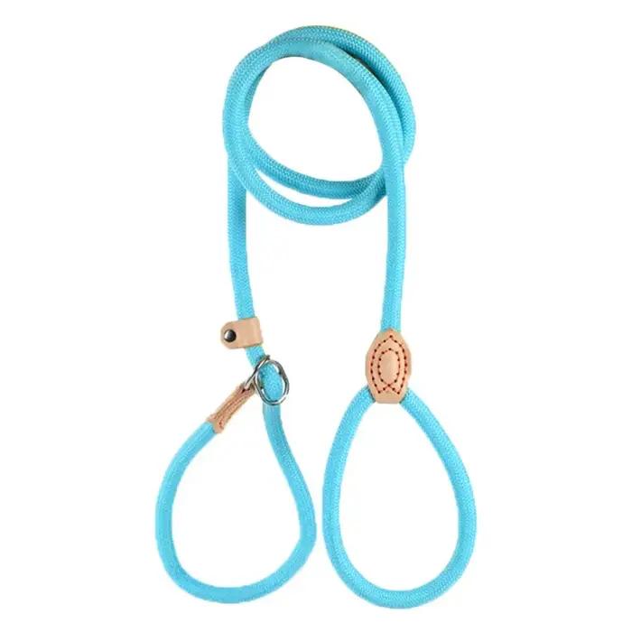 Laisse de dressage pour chien anti-traction robuste avec frein réglable pour chiens de petite, moyen