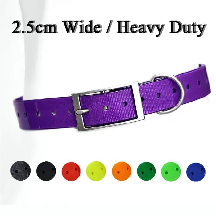 Collier de chasse pour chien