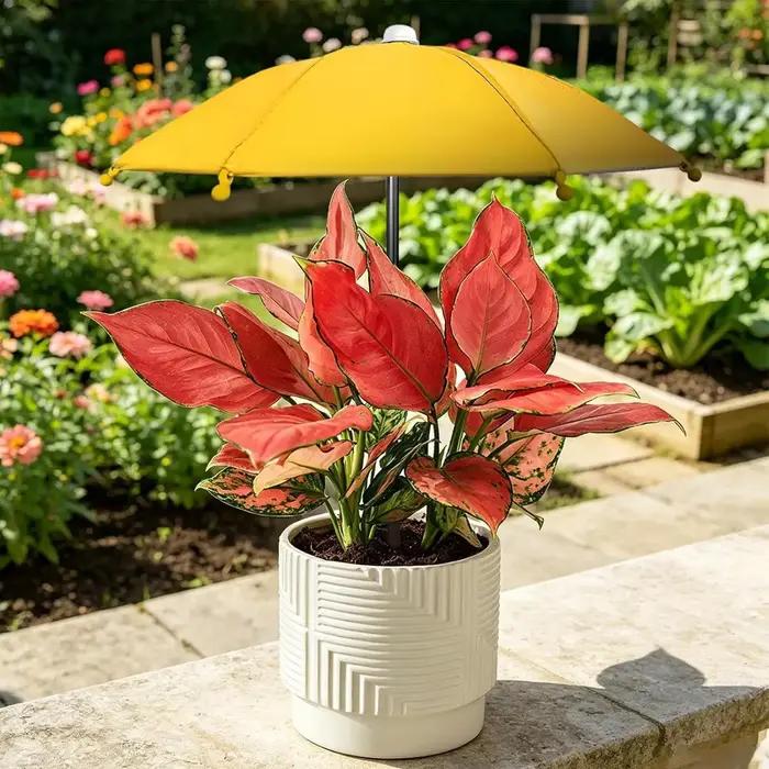 Abri solaire pour plantes en toile avec revêtement argenté pour protection et élégance dans le jardin, cour, patio et autres espaces extérieurs
