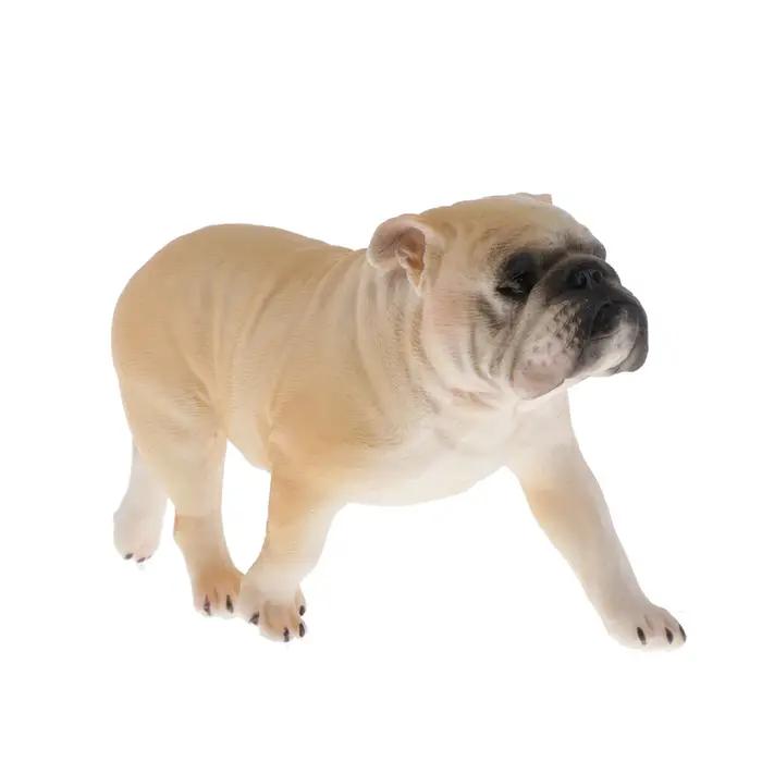 Figurines d'animaux sauvages en plastique multicolores pour la maison et le bureau, excellentes pour l'éducation et la décoration, idéales pour les occasions spéciales et les cadeaux d'anniversaire