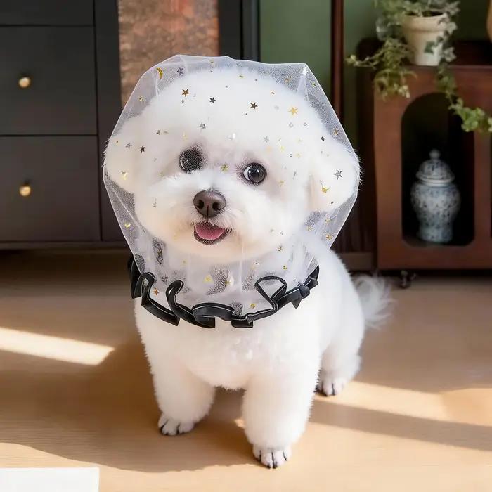 2 muselières pour chien respirantes et mignonnes