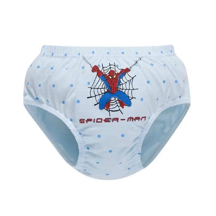 Sous-vêtements en coton pour garçons, boîte exquise, 5 pièces, slips confortables et respirants, cul