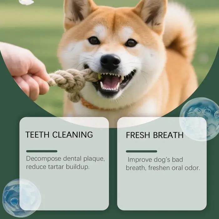 Poudre dentaire naturelle pour animaux de compagnie