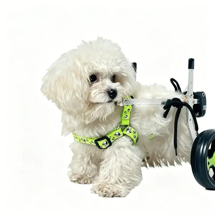 Fauteuil roulant pour chien
