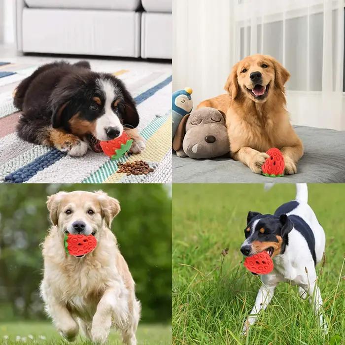 Ensemble de jouets interactifs pour chien : Distributeur de friandises en forme d'arachide