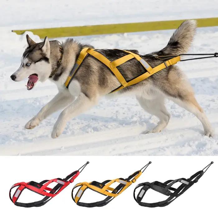 Harnais de traîneau PET ARTIST pour Husky et autres chiens de travail pour canicross skijoring scootering et dog sledding