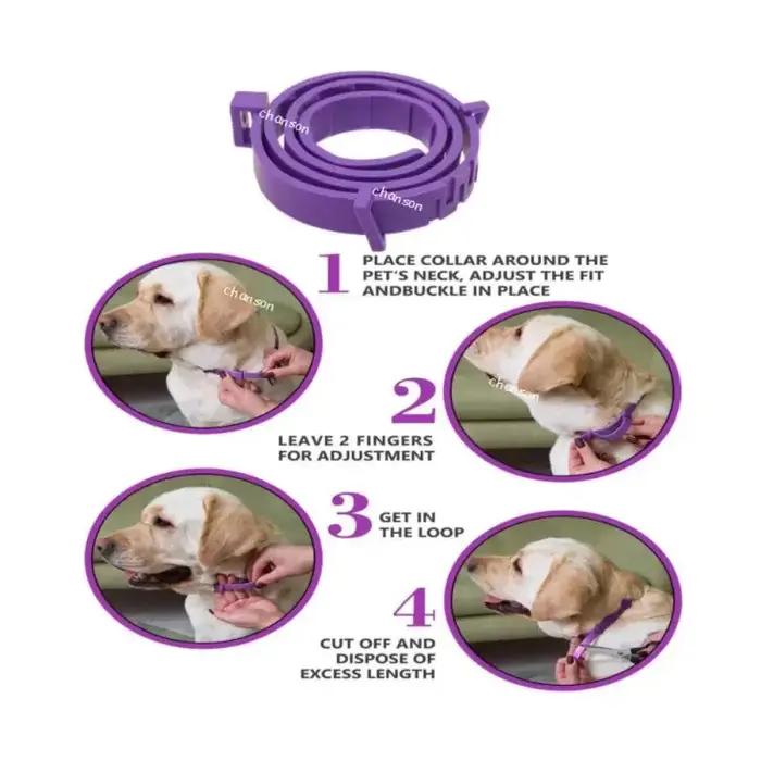 Collier apaisant pour chats