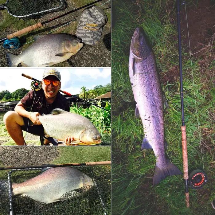 Canne à pêche à la mouche Maximumcatch SkyTouch Switch Spey 11/13/14ft 6-9wt, en fibre de carbone 30