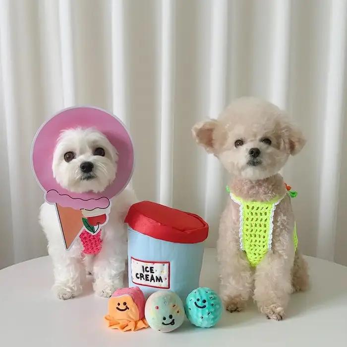 Nouveau jouet en peluche pour chien seau à crème glacée jouet grinçant balle interactive pour animaux de compagnie occaions spéciales chiens petits et moyens chiots
