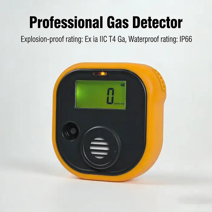 Détecteur de gaz H2S portable