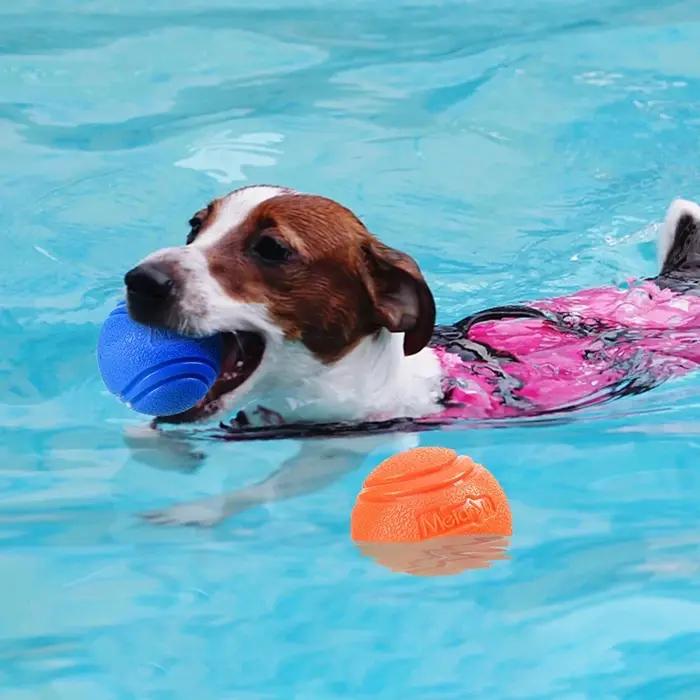 Balle en caoutchouc Gabe pour chiens, résistante, pour nettoyage naturel des dents, jeu en plein air, diverses tailles et couleurs, idéale pour entraînement et cadeau pour animaux de compagnie