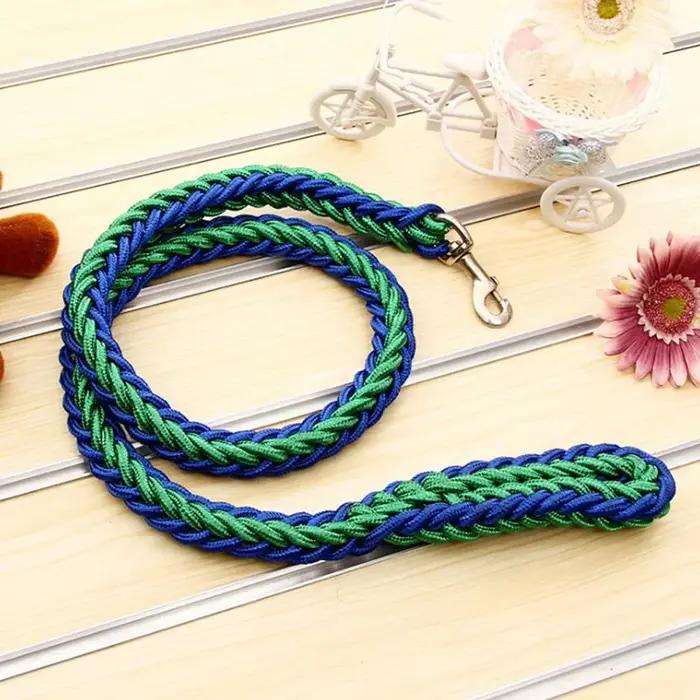 Laisse en nylon pour chiens de taille moyenne et grande