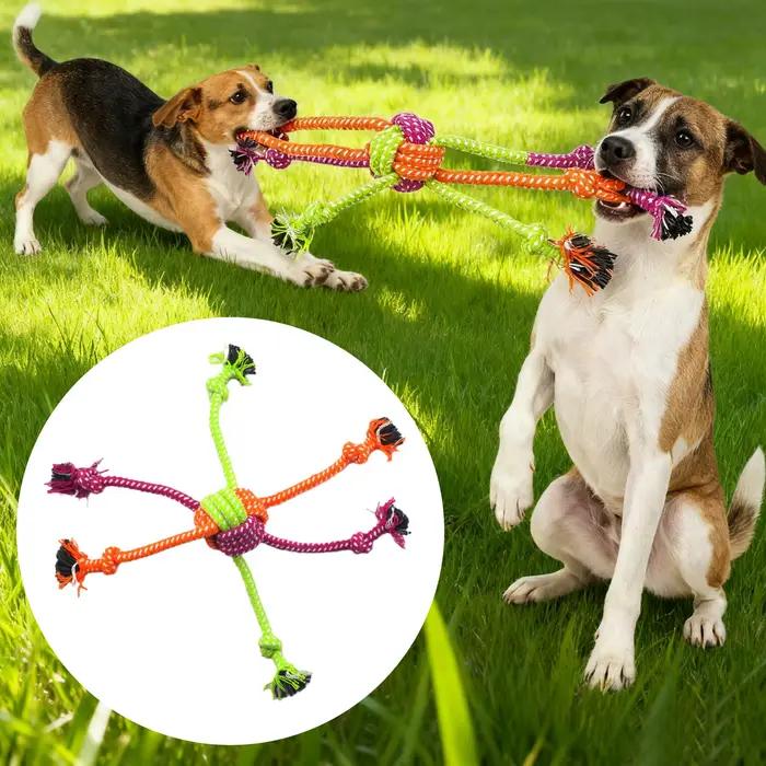 Jouet à nœud interactif Durable et résistant aux morsures pour chiens
