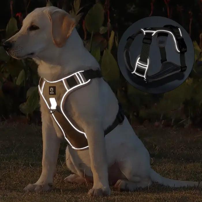 Harnais de selle réfléchissant pour chien