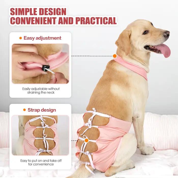 Combinaison de récupération chirurgicale pour animaux de compagnie