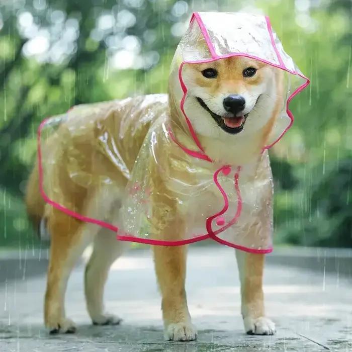 Vêtements de pluie transparents pour animaux de compagnie