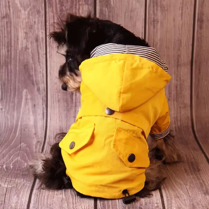 Veste imperméable pour chiens en polyester solide - chaleur, protection et élégance pour toutes les races de chiens - parfait pour les promenades hivernales et les cadeaux d'anniversaire