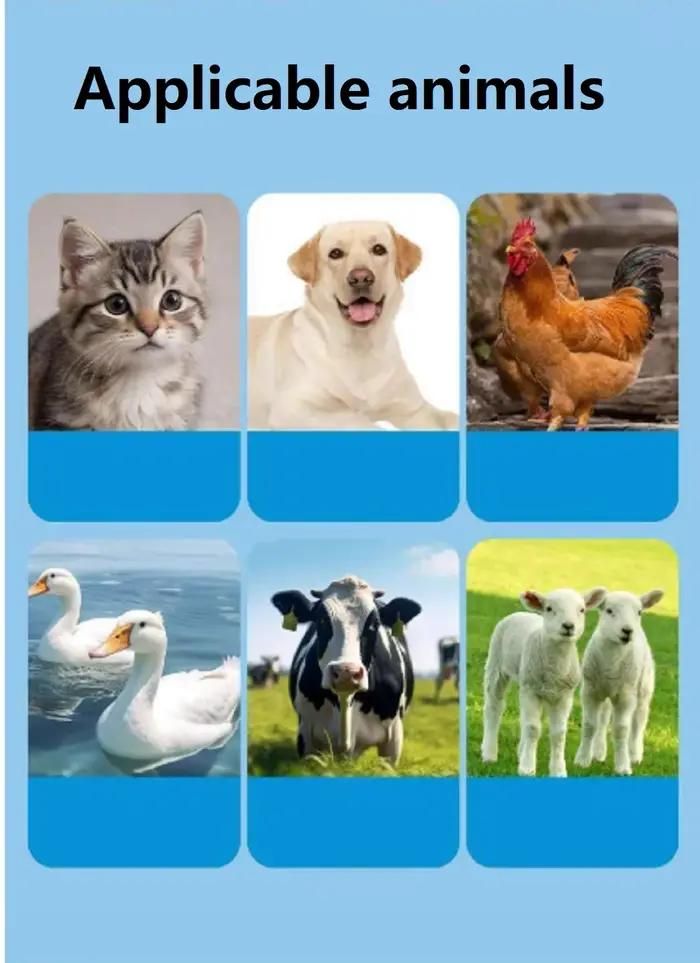 Chiens de compagnie chats bétail porcs chevaux