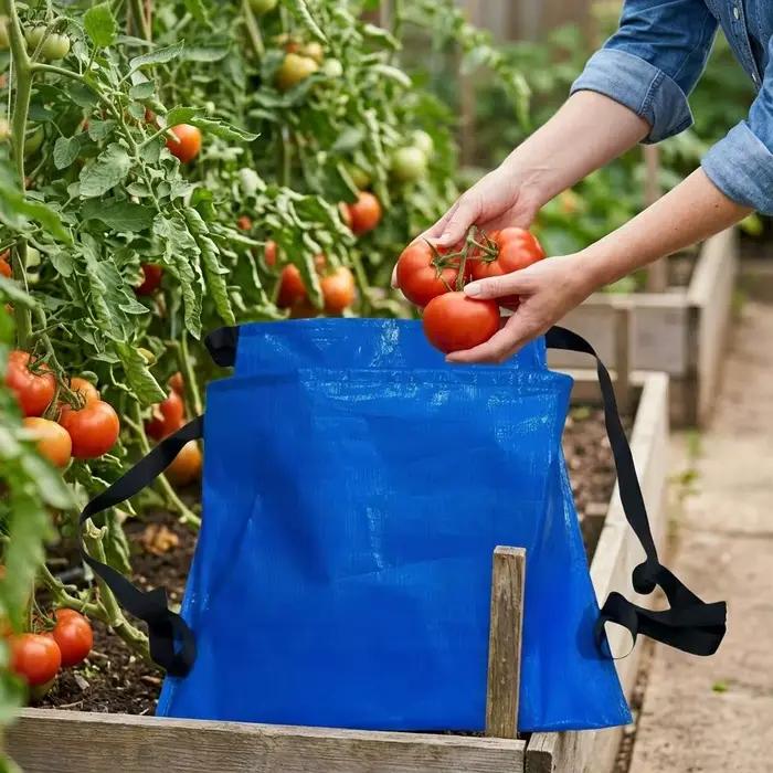 Sac de cueillette de fruits et légumes avec ceinture et pochette pour champignons robuste et étanche pour cueillette en jardin et forêt