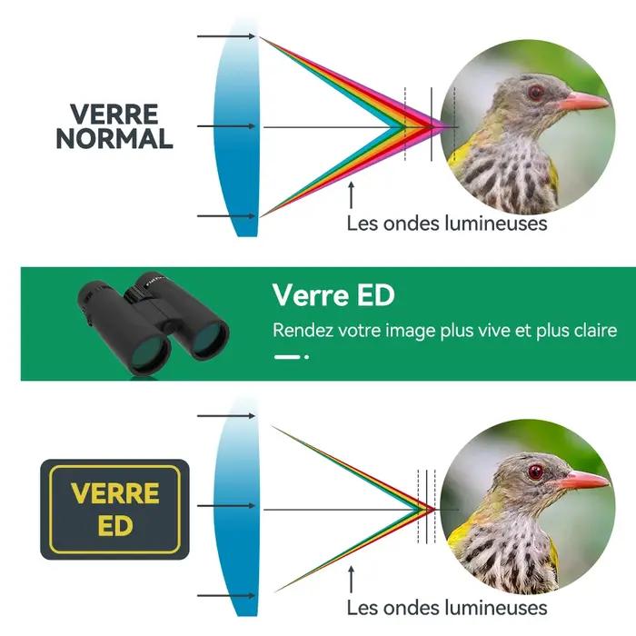 Jumelles Svbony SA205 8x42 10x42 avec correction de champ plat et revêtement FMC pour observations professionnelles et amateurs de plein air