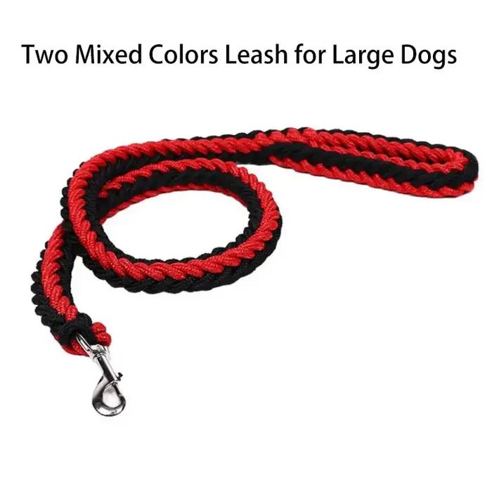 Laisse en nylon pour chiens de taille moyenne et grande