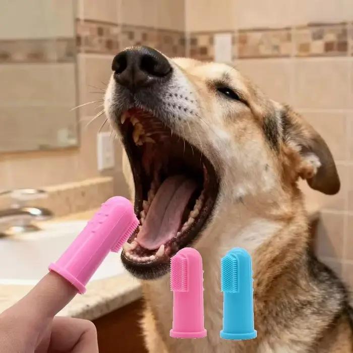 Brosse à dents en plastique pour animaux de compagnie