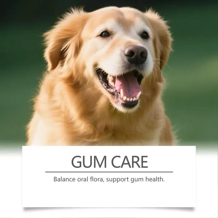 Poudre de soin dentaire pour chien