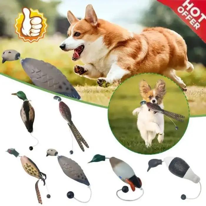 Leurre de simulation de canard colvert pour l'entraînement des chiens