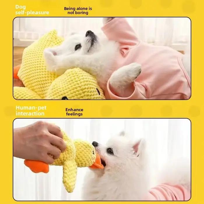 Jouet pour chien en peluche en forme de canard