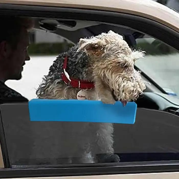 Coussin de fenêtre de voiture en mousse pour chien