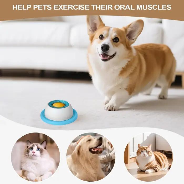 Jouet pour chien, accessoires d'alimentation pour animaux de compagnie