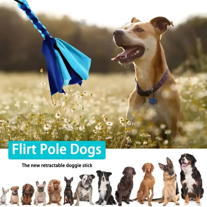 Canins flirt leurre pôle bâton jouets animal de compagnie interactif chasse queue Teaser baguette formation corde à