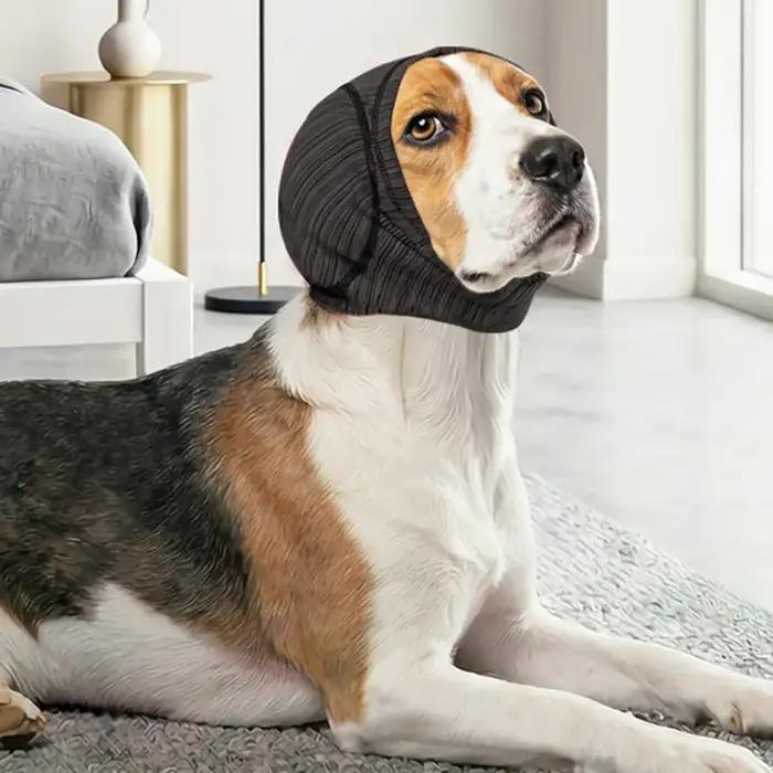 Couvre-oreilles élastiques pour chien