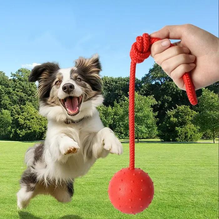 Balle indestructible pour chien jouet à mâcher résistant à l'eau en caoutchouc cordelette pour jeu interactif et promenade en plein air