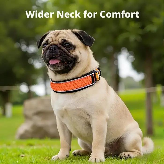 Collier pour chien avec boucle de verrouillage anti-évasion, collier en nylon respirant et confortable pour chiens de grande et petite taille, fournitures pour animaux de compagnie