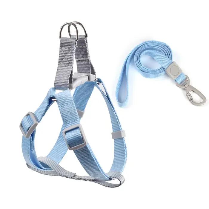 Laisse en nylon personnalisable pour petits chiens et chiots, ensemble pour promenades extérieures, toutes saisons, toutes étapes de vie, à offrir pour anniversaire ou Noël
