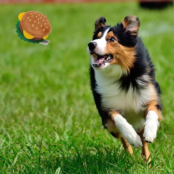 Jouets interactifs amusants et intéressants pour chiens