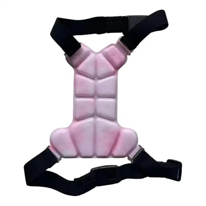 Gilet rafraîchissant pour chien, veste respirante avec pochettes de gel, veste rafraîchissante pour