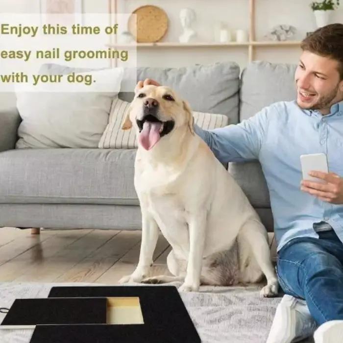 Jouet de grattage en bois avec boîte à friandises et lime à ongles pour chiens usage quotidien et cadeau occasionnelle